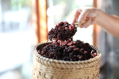 Close-up of hand holding berries