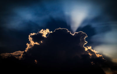 Low angle view of silhouette tree against sky at night