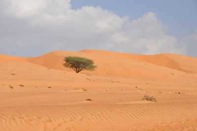 Scenic view of desert against sky