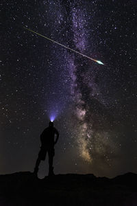 Silhouette of trees at night