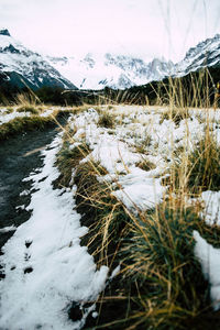 Valley path surrounded by snowcapped mountains