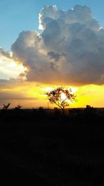 Scenic view of silhouette field against sky during sunset