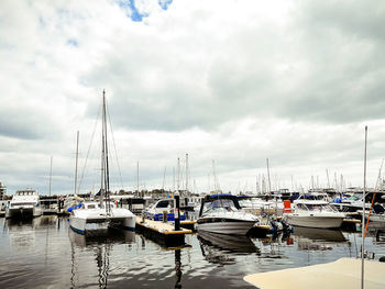 Sailboats moored in harbor