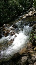 Scenic view of waterfall in forest