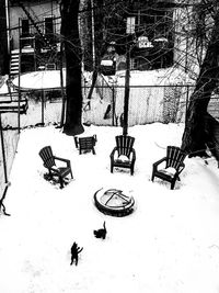 People on snow covered field