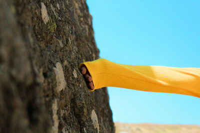 Low angle view of tree trunk against blue sky