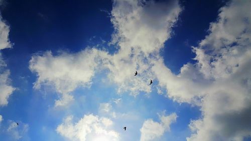 Low angle view of bird flying against blue sky