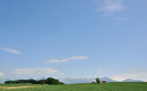 Scenic view of grassy field against cloudy sky