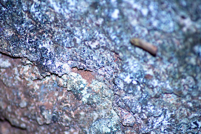 Close-up of cigarette on rock