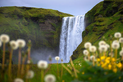 Scenic view of waterfall