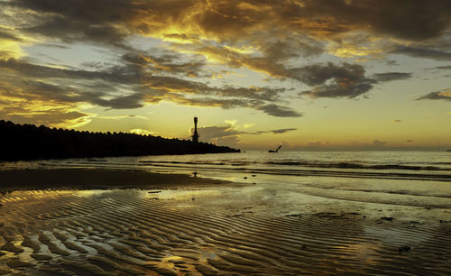 Silhouette birds on beach against sky during sunset