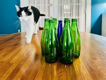 High angle view of food on table