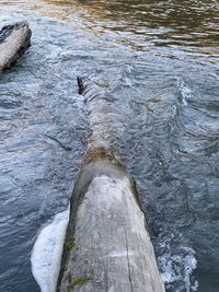 High angle view of river flowing through rocks