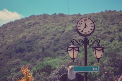 Low angle view of clock on tree against sky