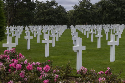 View of cemetery