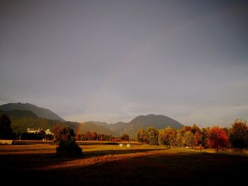 Scenic view of field against sky during sunrise