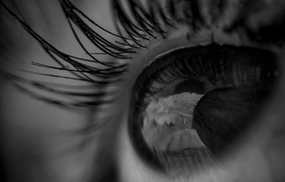 Close-up of human eye
