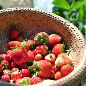 Close-up of strawberries in basket