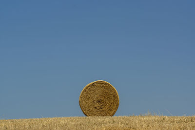 Round bales of hay isolated in a field of tuscany