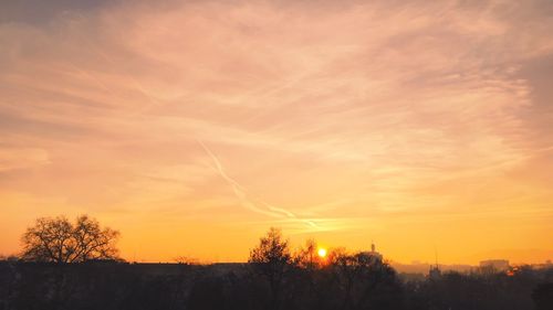 Silhouette trees against sky during sunset