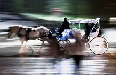 People riding horse cart