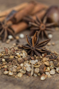 High angle view of dried leaves on wood