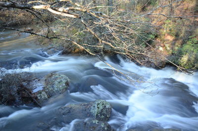 River flowing through rocks in forest