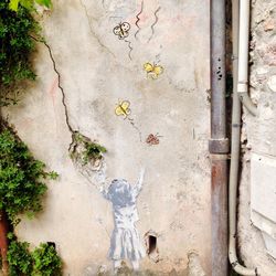 Plants growing on wall