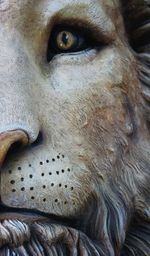 Close-up of statue