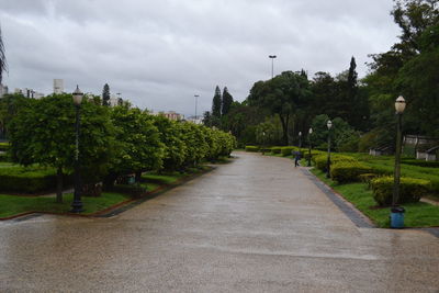 View of trees against sky