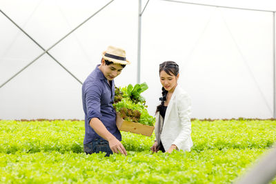 Asian farmer couple work in hydroponic vegetable greenhouse farm with happiness and joyful in row 