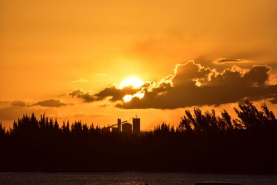 Scenic view of silhouette trees against orange sky