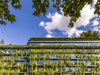 Germany, baden-wurttemberg, stuttgart, office building covered in green creeping plants