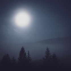 Silhouette trees against sky at night