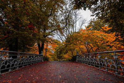 Footbridge amidst trees during autumn