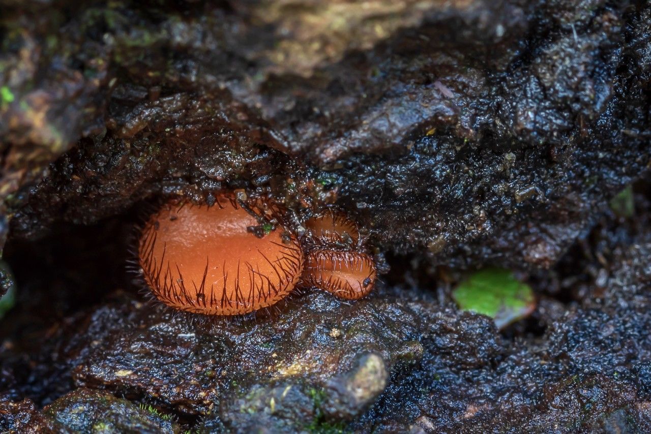 Mario Brussé Photography