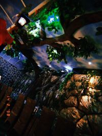 Low angle view of illuminated trees at night
