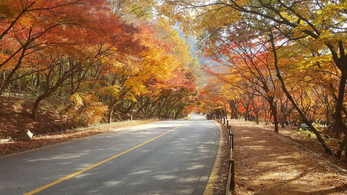 Road amidst trees during autumn