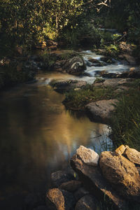 Stream flowing through rocks in forest