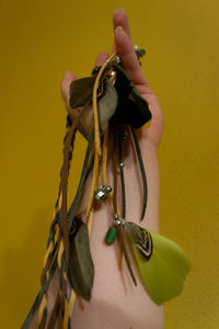 Close-up of insect on hand against yellow wall