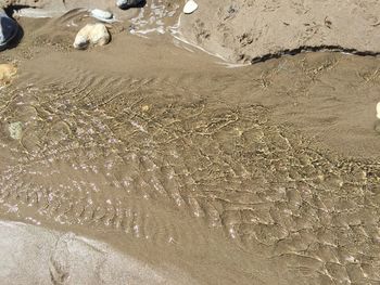 Footprints on sandy beach