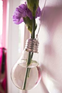 Close-up of flowers in vase