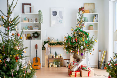 Potted plants on table at home