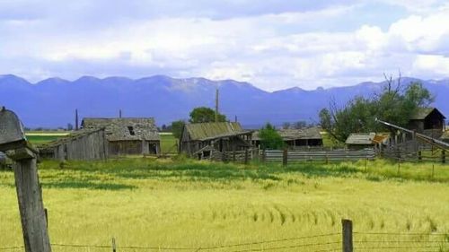 Houses on field against cloudy sky