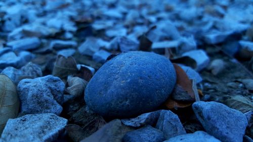 Close-up of stones