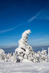 Scenic view of snow covered landscape against blue sky