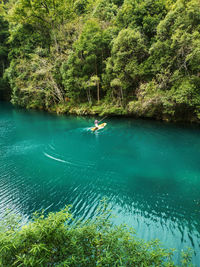 Scenic view of sea against trees in forest