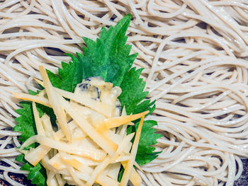 High angle view of chopped vegetables