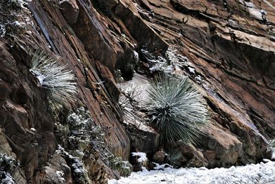 Close-up of frost on rock in cave