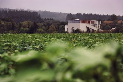 Scenic view of field by trees and houses